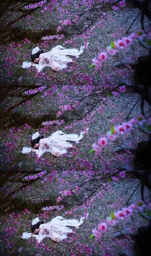 三生三世十里桃花 白浅 杨幂