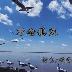 万念俱灰