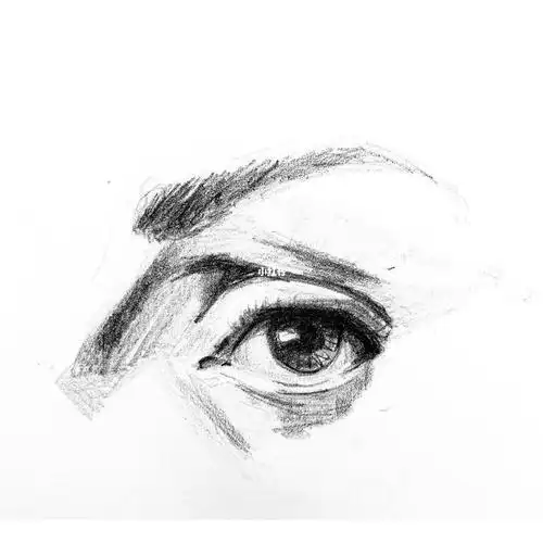 素描练习眼睛