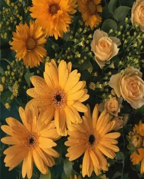 养眼耐看的壁纸让美触手可及