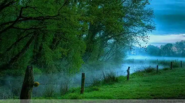 珍藏绿色护眼图片