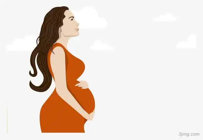 矢量图大肚子母亲png素材透明免抠图片节日元素