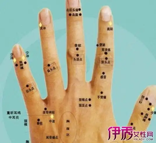 手背长痣代表什么_手背痣相图解_风水图解_肉厚的女_风水图片_吉达阁