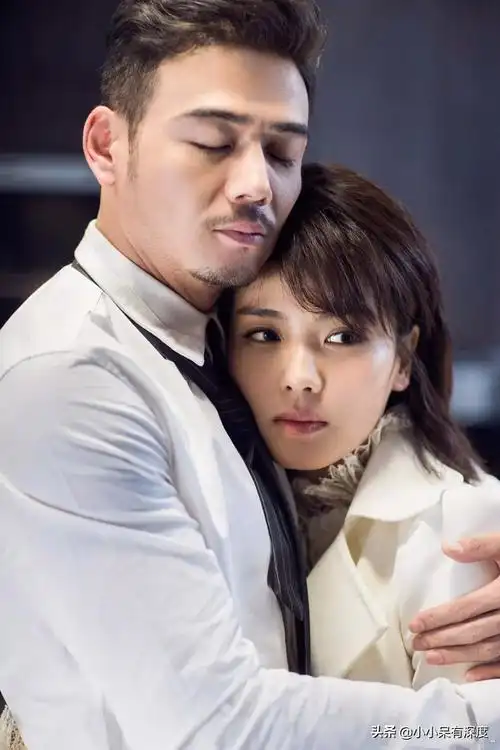 杨烁主演的电视剧全部 杨烁刘涛合作的电视剧-皮皮百科