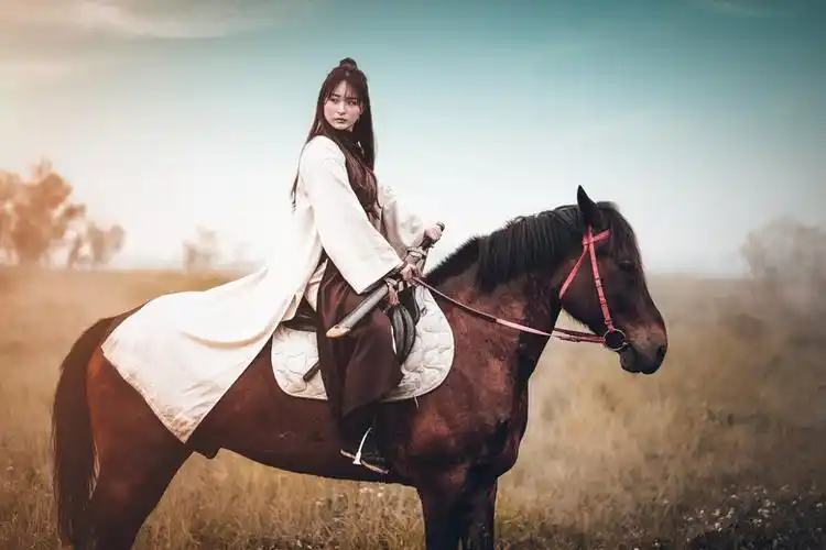 仗剑天涯红颜褪