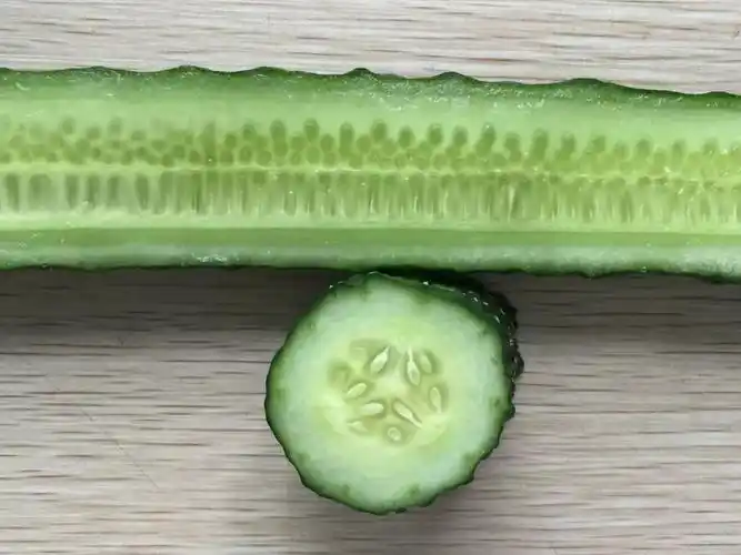 写美篇把黄瓜切开 徐远宁:哇,原来黄瓜切开是这个样子的 张一涵:黄瓜