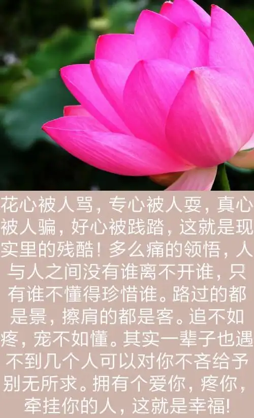 男人只有穷一次才知道哪个女人最爱你句句戳心