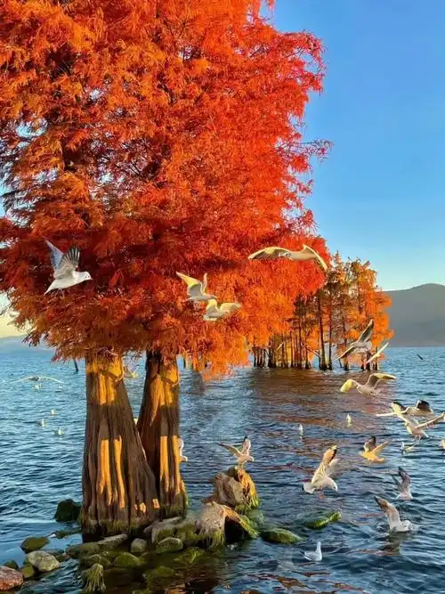 全国最适合养老的城市榜单来了!生活安逸消费低,有没有你的家乡呢?