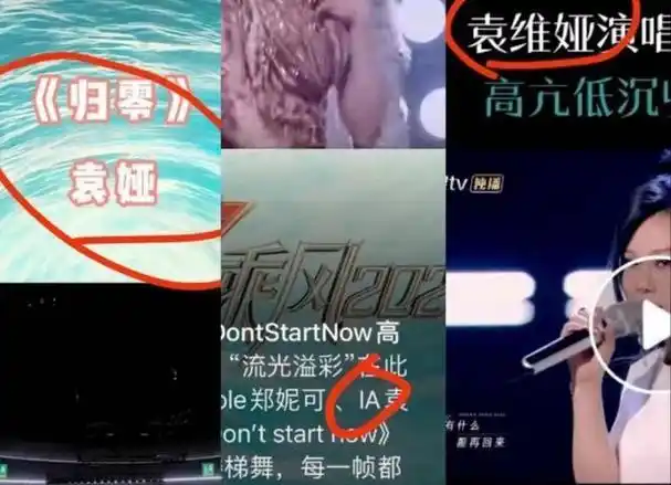 网友让袁娅维改名袁娟再战歌手 艺人直面争议引热议