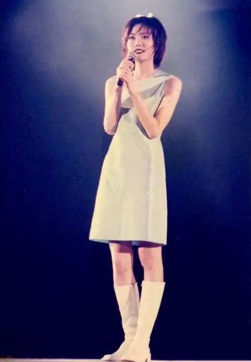 王菲谢霆锋身高,王菲身材(还有逆天大长腿)