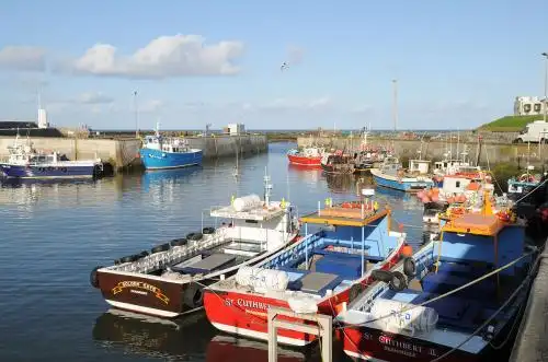 世界四大渔场排名,北海道是世界最大的渔场!_巴拉排行榜