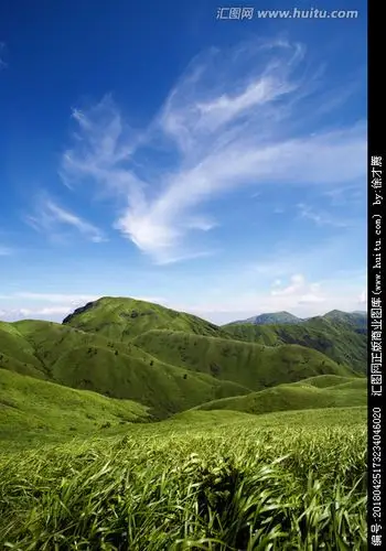 高山草甸高山草原