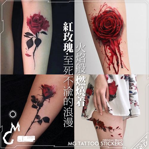 mg tattoo 红玫瑰 至死不渝的浪漫性感唯美玫瑰花朵图案4张装包邮