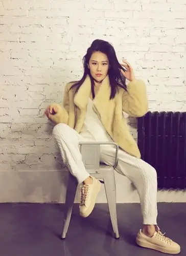 袁娅维北京演唱会