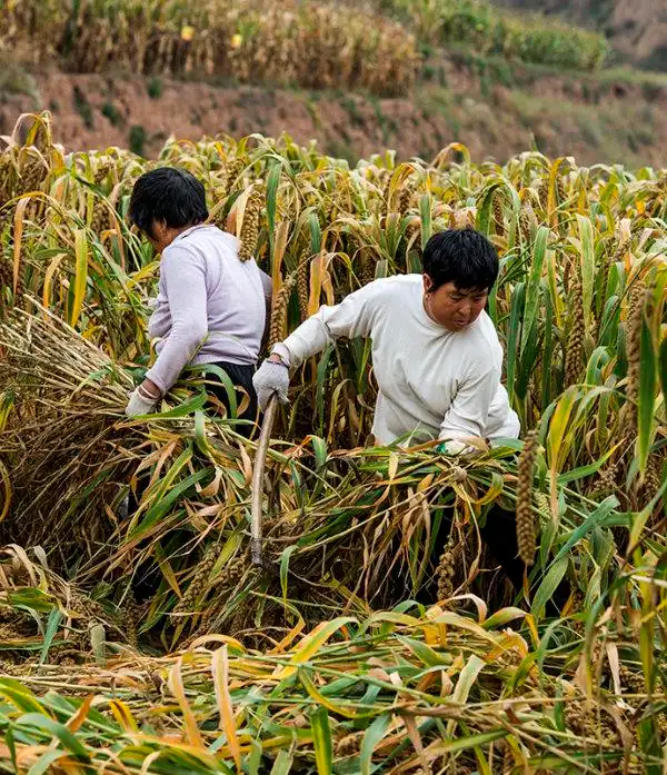 一些农村人的真实生活照片