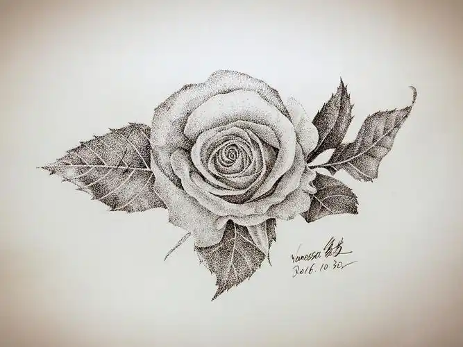 点绘《花卉》-带步骤