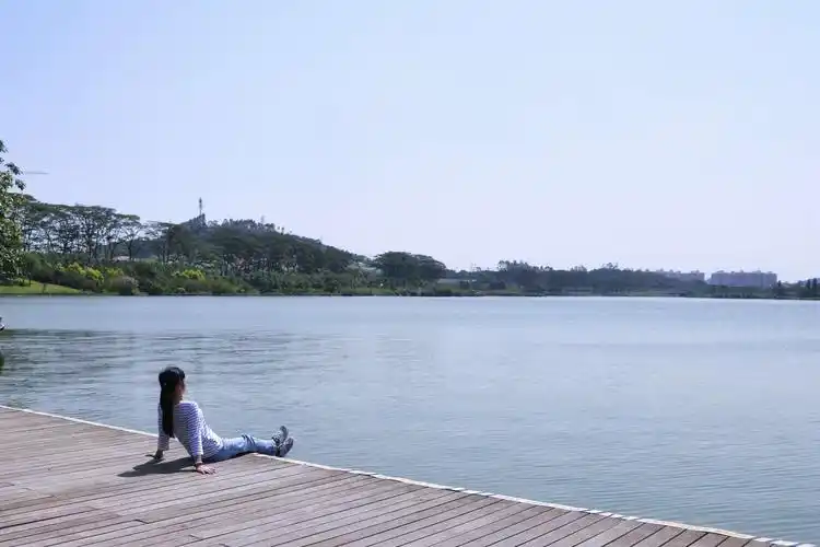 带着背影看风景