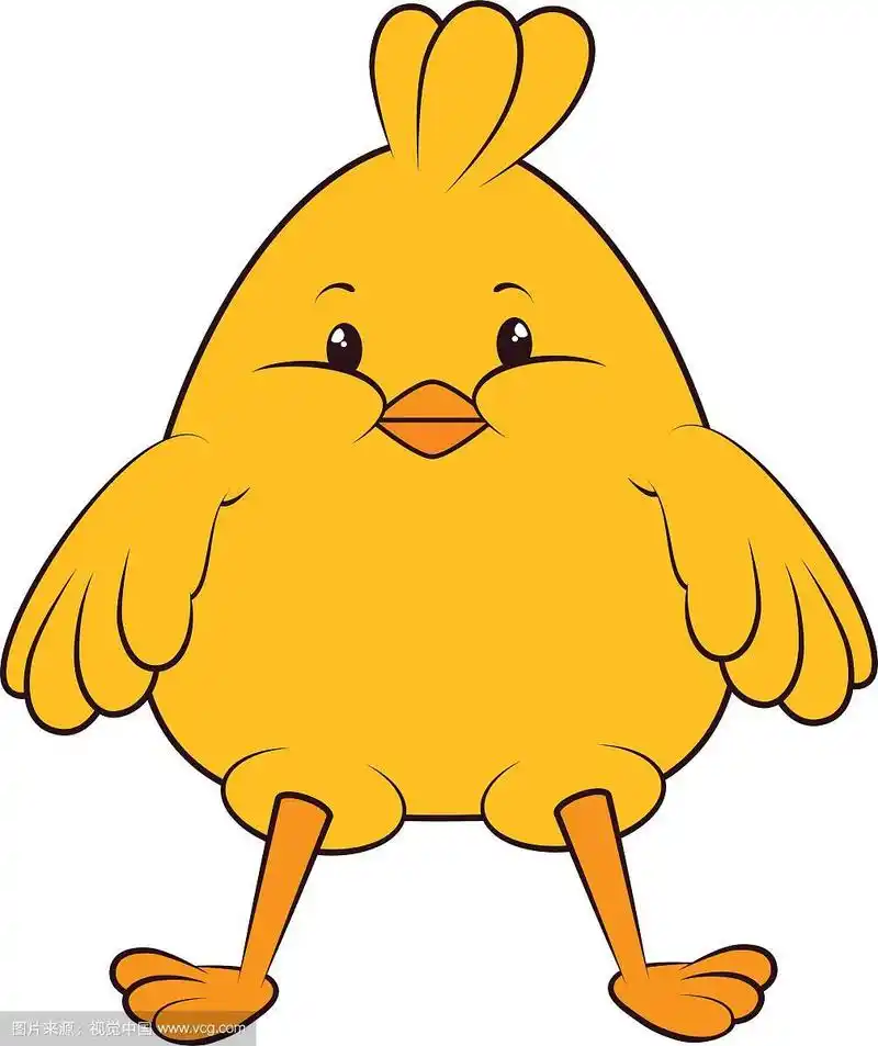 小鸡动物卡通