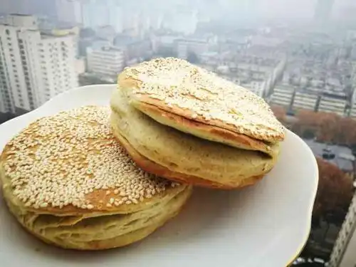 正宗登封芝麻盖烧饼-"特喜欢吃这样的烧饼,非常喜欢吃面食,天哪.