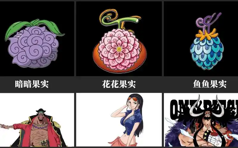 恶魔果实的完整版图鉴官方设定