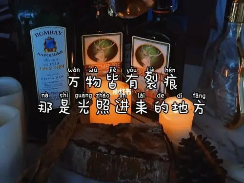 万物皆有裂痕那是光照进来的地方