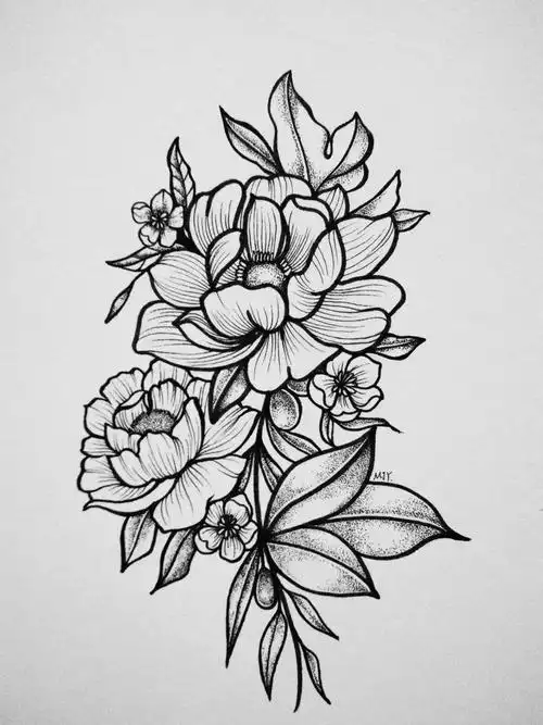 线描素材|一支笔可以完成的花卉装饰画