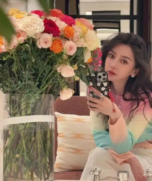 暗搓搓较劲叶珂高调晒杨颖同款百万包包纯手工茶几价值34万