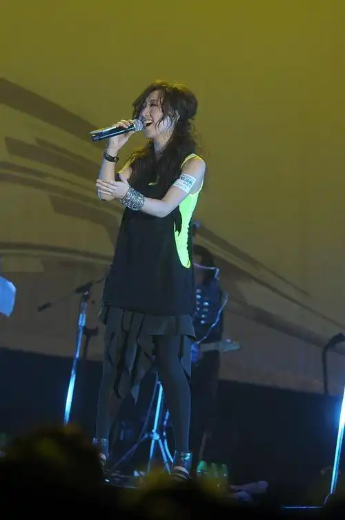 蔡健雅震撼回归佛山草莓音乐节掀起音乐狂潮