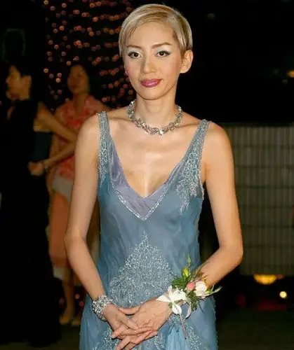 梅艳芳冷艳红梅任凭千般寒彻芳华绝代傲然独立于尘世