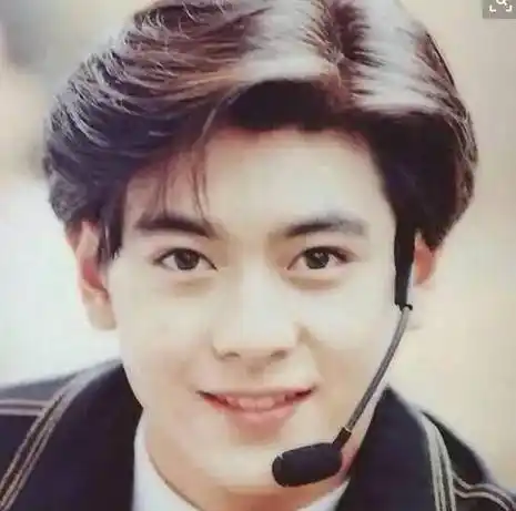 原创原创17岁的雨季17岁的林志颖那时候的他有多火