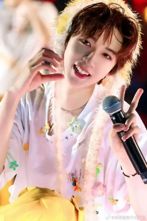 星愿生日企划##给贺峻霖许个星愿##贺峻霖缘故##贺峻霖 二十弈梦鸿鹄