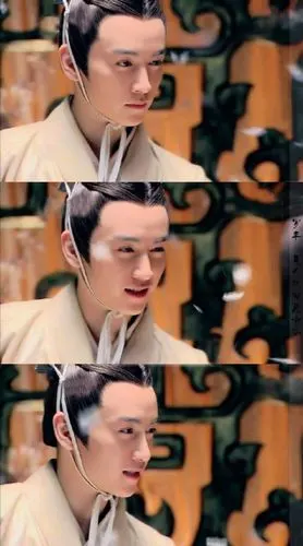 陈晓《王的女人》【罗丰】秦三世子婴,秦朝最后一个统治者,在位仅46日