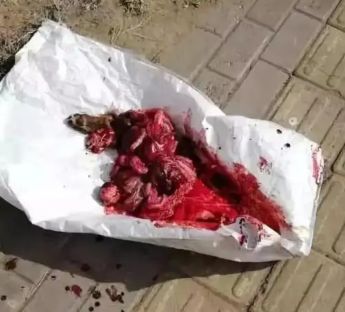 包头环卫工人当街杀害流浪狗丨一样的岗位不一样的人性