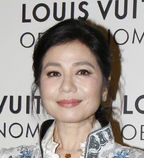 60年代出生网友最喜爱的10大美女明星风采依旧你最喜欢谁