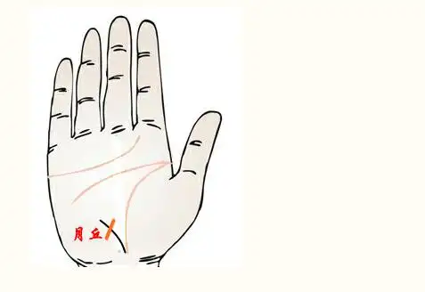 分析:如果一个人的事业线上横纹,而且是位于月丘的位置,一般代表这个