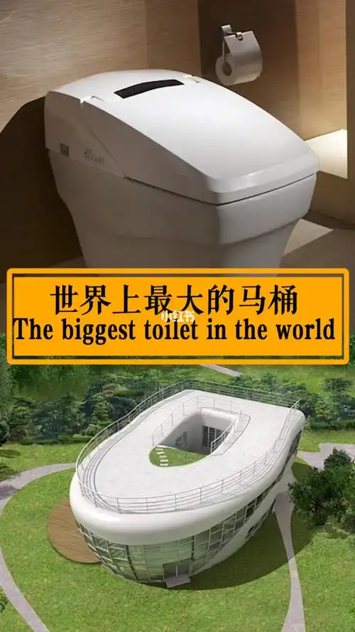 世界上最大的马桶