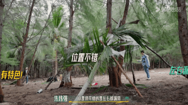 明星爆改拾荒大汉落地三秒就开始捡垃圾