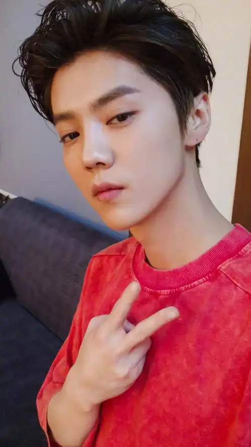 鹿晗帅气自拍
