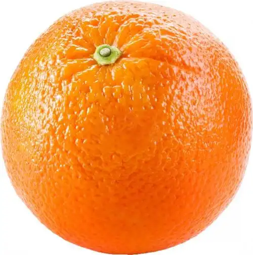 ps合成制作一款创意橙子咖啡杯教程_photoshop教程_脚本之家