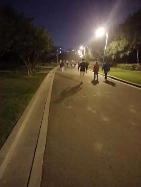 《醉花阴·散步》