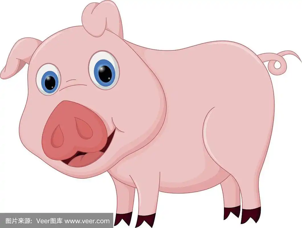 可爱的卡通猪