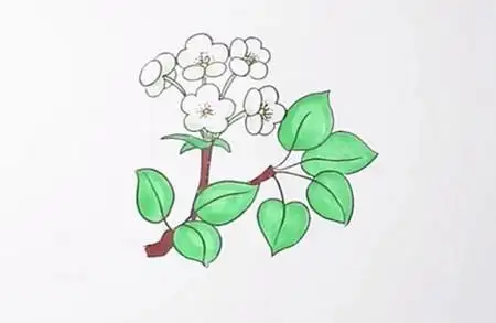梨花简笔画画法步骤 花朵儿童画 中级简笔画教程-第1张