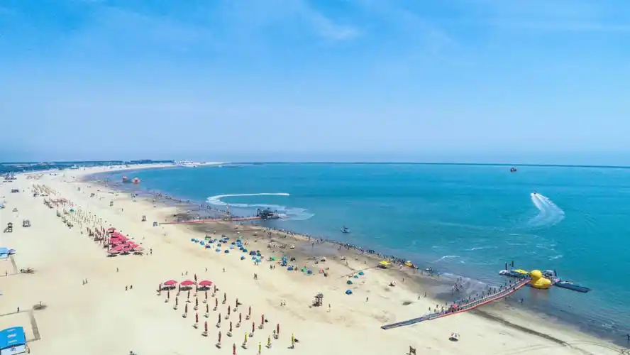 夏日清新 独爱天津|东疆:海边的毕业仪式感