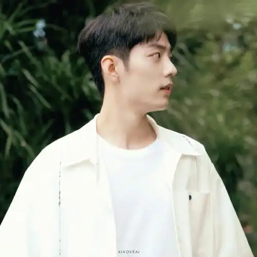 内娱明星头像大户##肖战