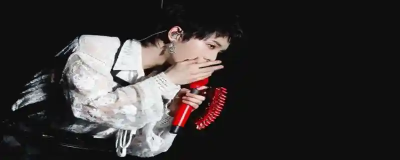 华宇晨的应援色是红色.华晨宇本人非常喜欢红色.