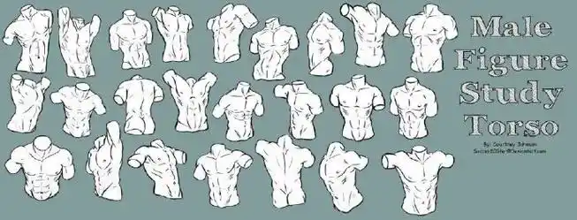 绘画参考#男性肌肉画法参考 ,更多素材请看置顶