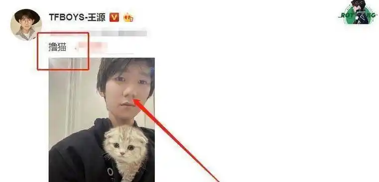 原创出国留学后的王源很少发自拍表情略显憔悴像个19岁的阳光少年