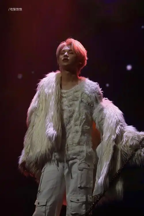 黄明昊贾想世界演唱会