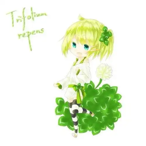 四叶草 女孩 手绘