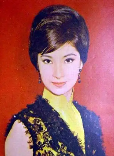 追忆60年代香港绝色女星 美艳动人绝代芳华